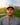 Out of Office Hat - Yippy Golf