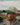 Out of Office Hat - Yippy Golf