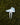 AJ 1 Sneaker Inspired Divot Repair Tool - Yippy Golf