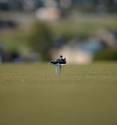 AJ 4 Sneaker Inspired Divot Repair Tool - Yippy Golf